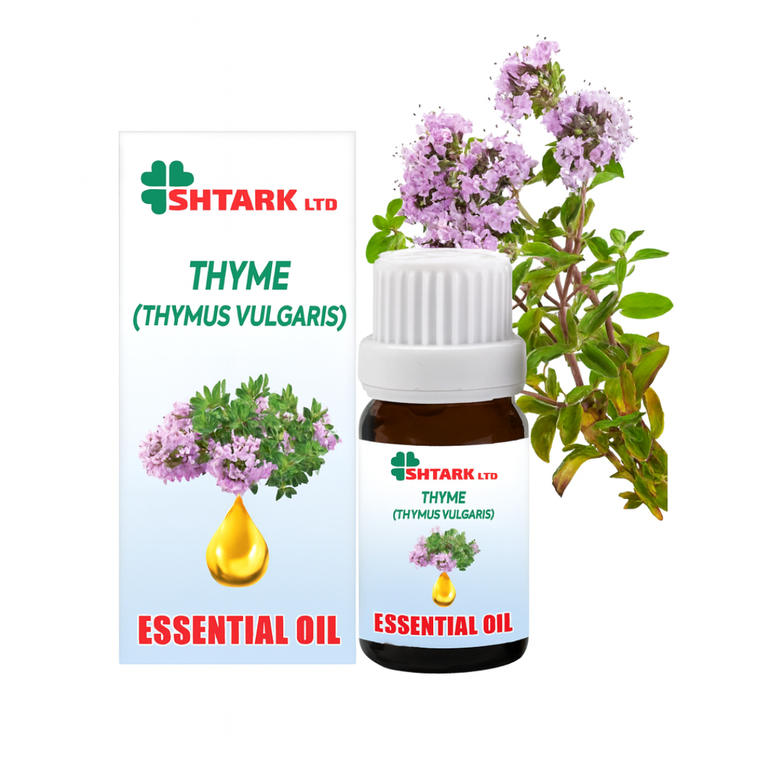 Ulei esențial de Cimbru (Thyme) Netpack – sticluță 10 ml și plantă de cimbru – fotografie produs