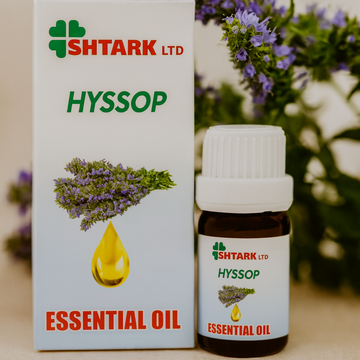 Ulei esențial Hyssop (Isop) Netpack – beneficii și utilizare