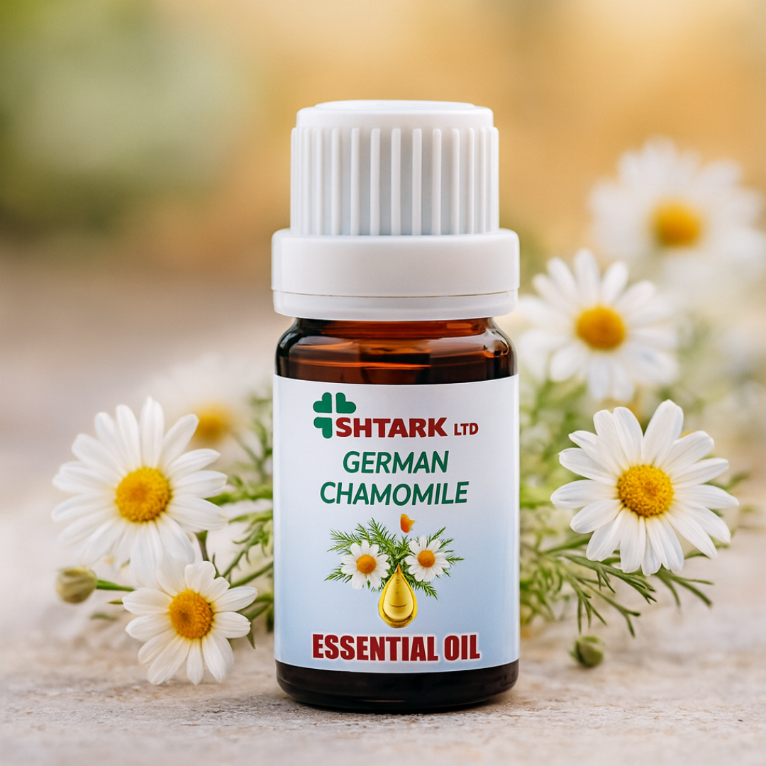 Mușețel German – ulei esențial 100% pur Netpack, sticluță 5 ml și flori de mușețel – fotografie produs